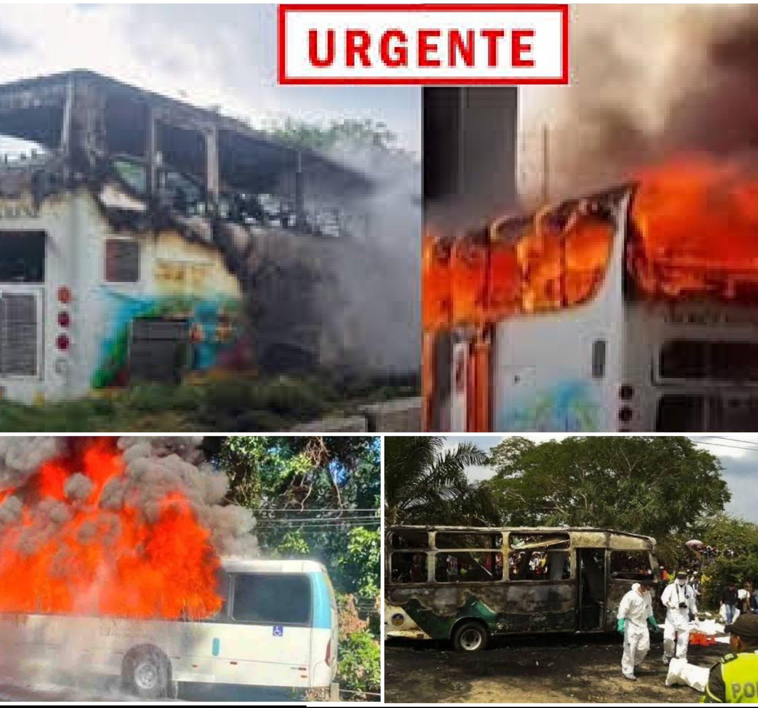 Acidente com ônibus escolar cheio de estudantes sobe para 25 o número de crianças mortas,veja o vídeo…ver mais